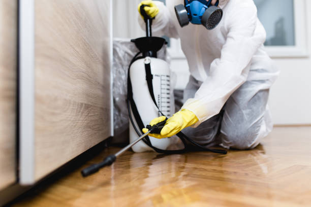 Best Wasp Removal Services  in Barnesville, GA
