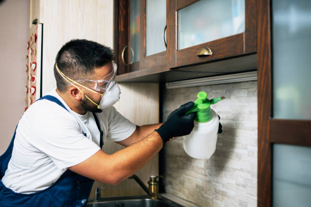 Best Local Pest Control Services  in Barnesville, GA