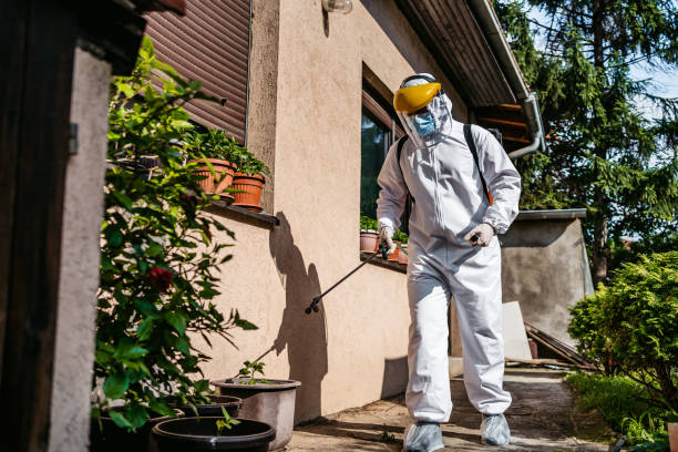 Best Rat Extermination Near Me  in Barnesville, GA