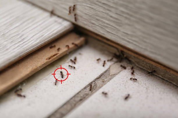 Best Pest Control Near Me in Barnesville, GA