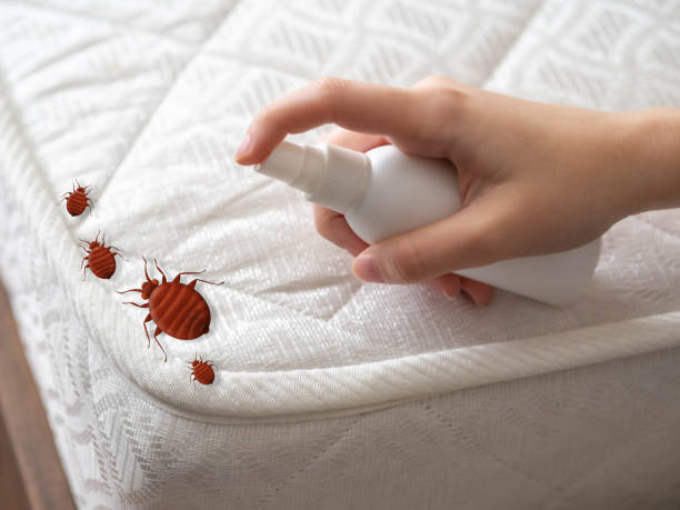Best Termite Control Services  in Barnesville, GA