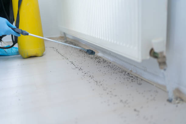  Barnesville, GA Pest Control Pros